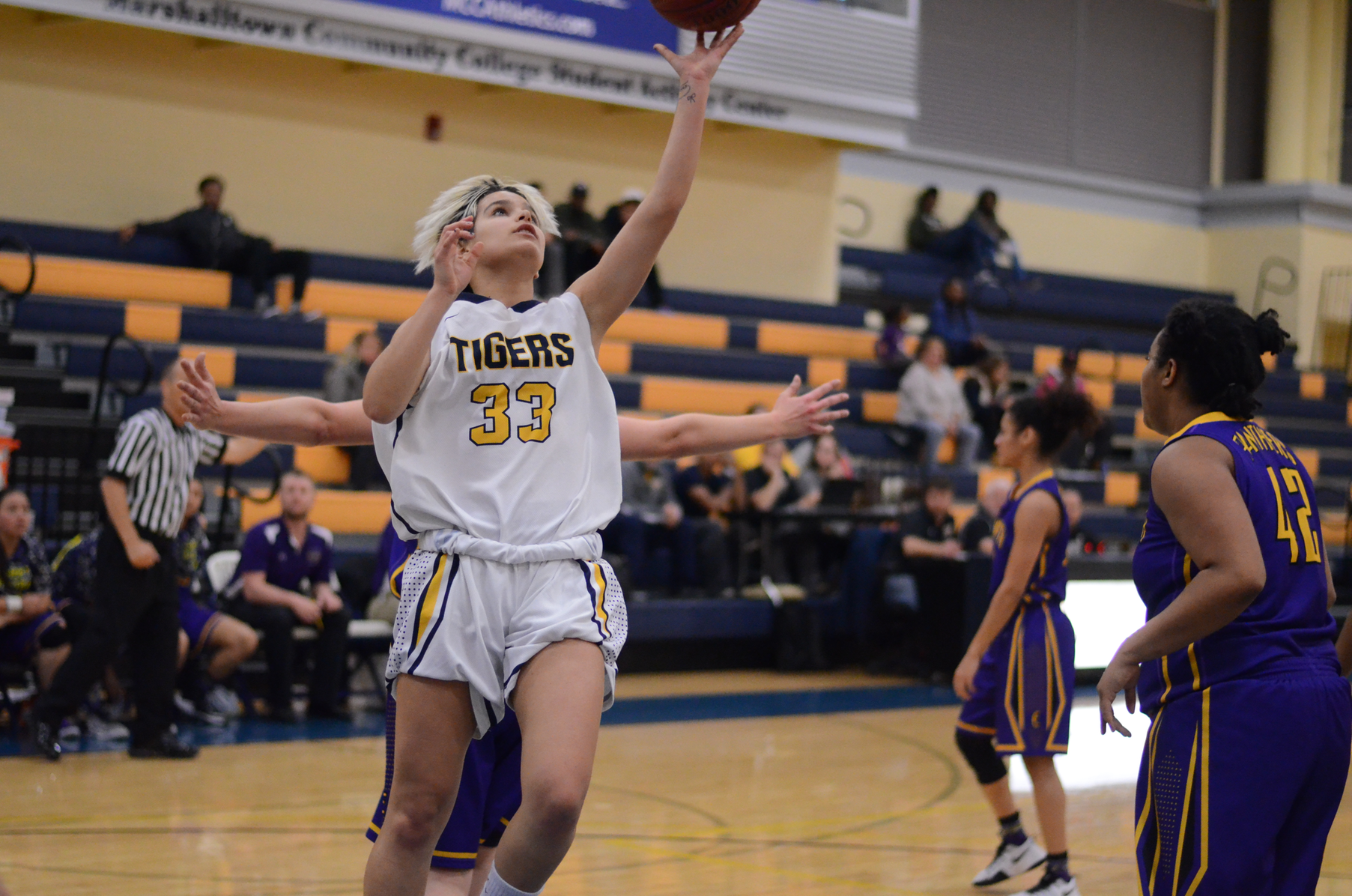 Late rally not enough as Tigers fall to Ellsworth
