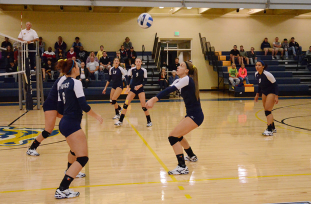 Tigers set to host 2013 volleyball camp