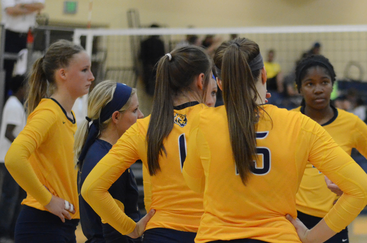 Volleyball's rally comes up short at Ellsworth