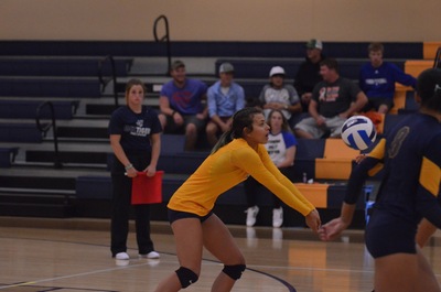 Warriors Sweep Tigers in Conference Match Up