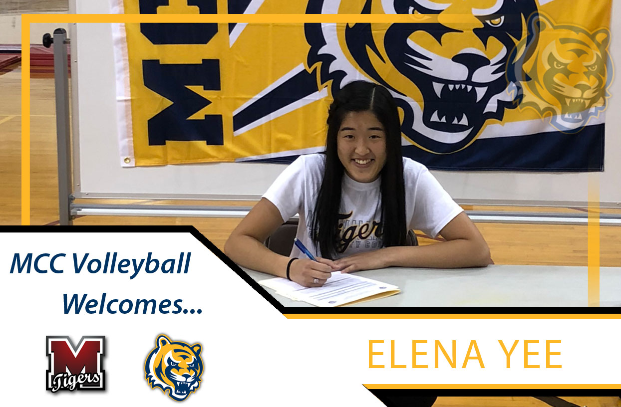 Tiger Volleyball Adds Elena Yee