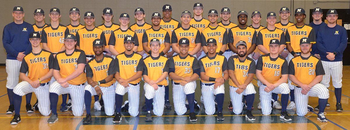 Eight Tigers Named to All-Region Teams