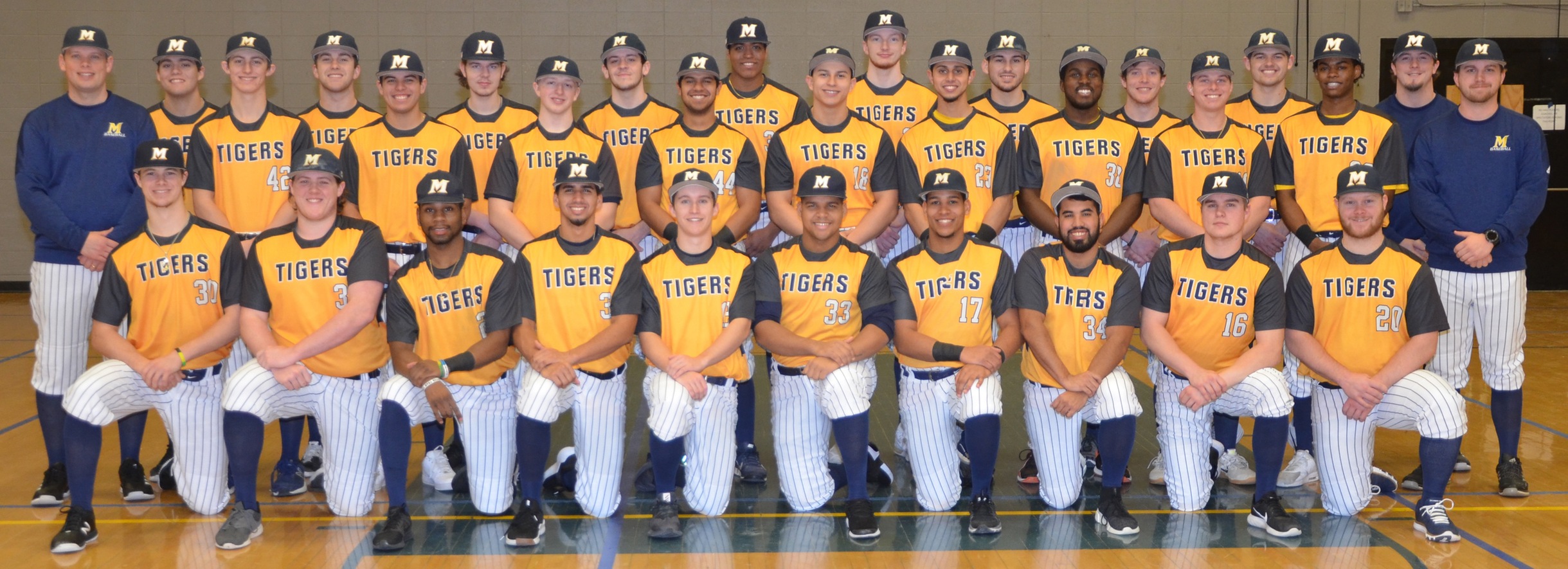 Tiger Baseball Sends Fourteen to Four-Year Institutions