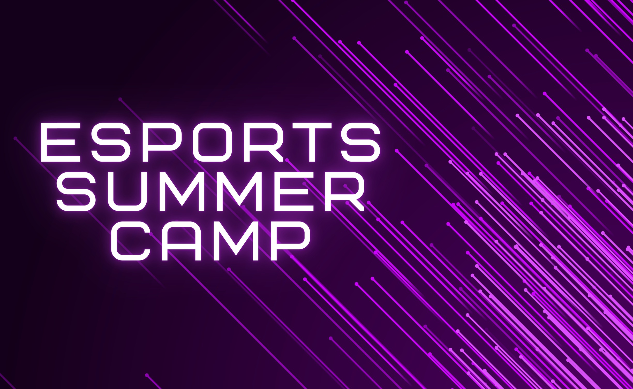 Esports to hold summer camp